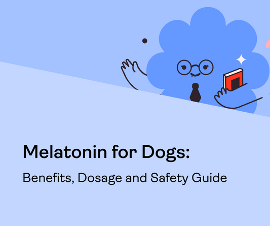 Melatonin for Dogs: Benefits, Dosage, and Safety Guide